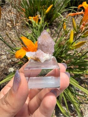Natural Spirit Quartz Cluster Point | Cactus Quartz Crystal,A550